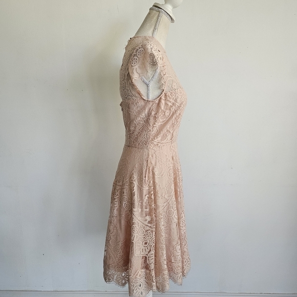 BB Dakota Pink Rose Smoke Lace Illusion Dress - Picture 8 of 10